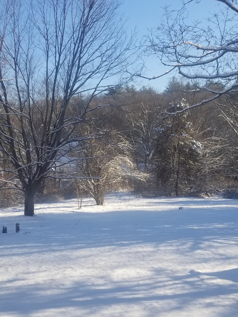 20190130_091308.jpg