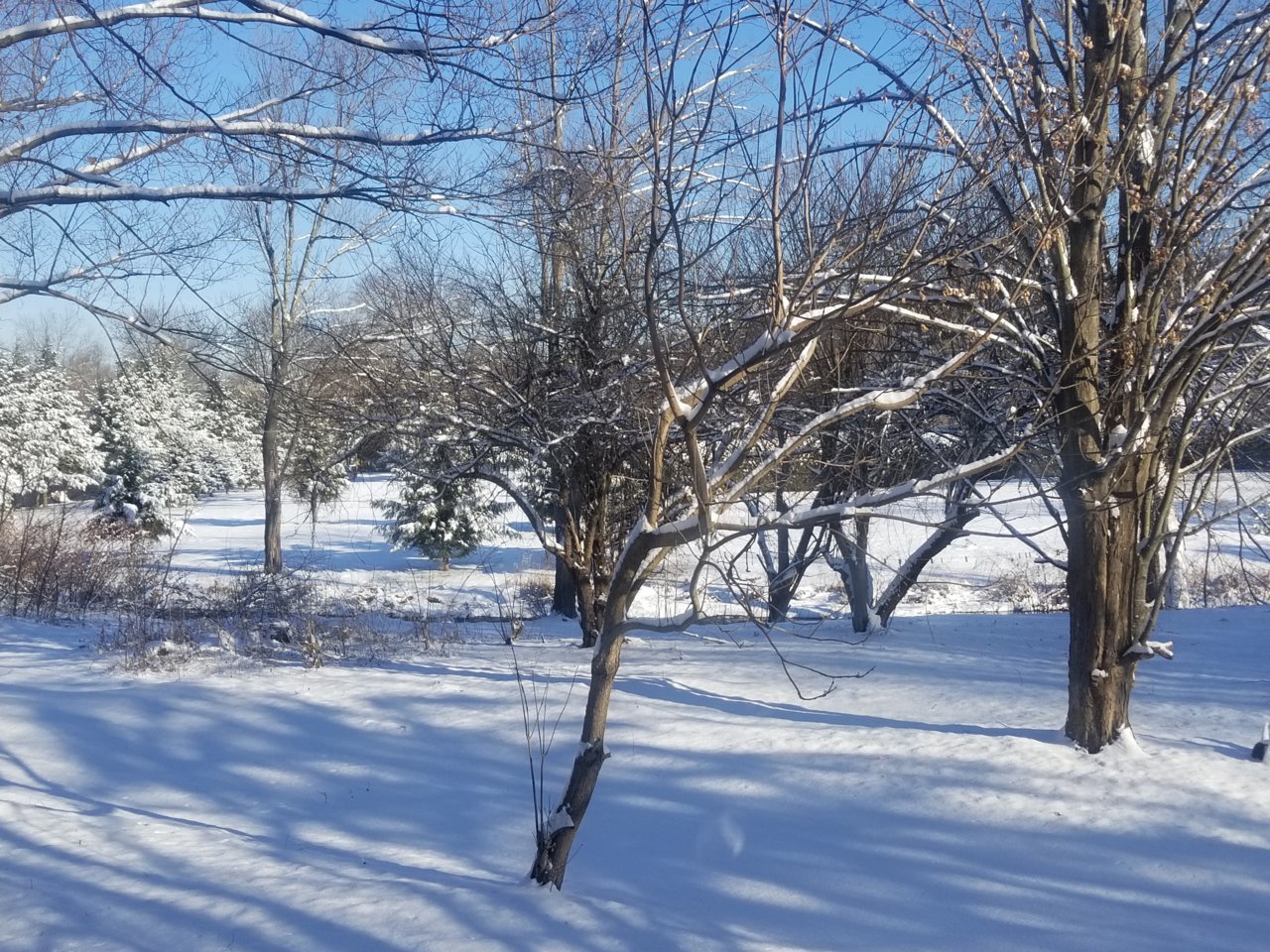 20190130_091328.jpg