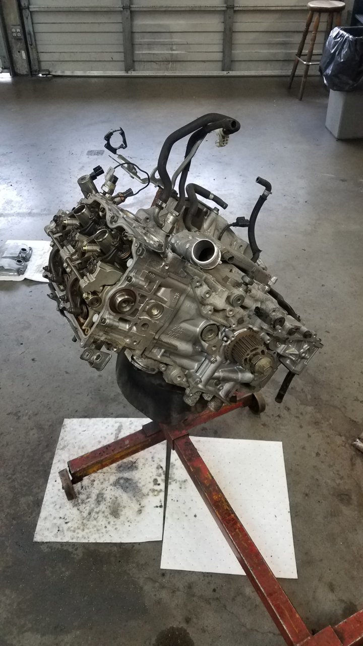 20190130_141114.jpg