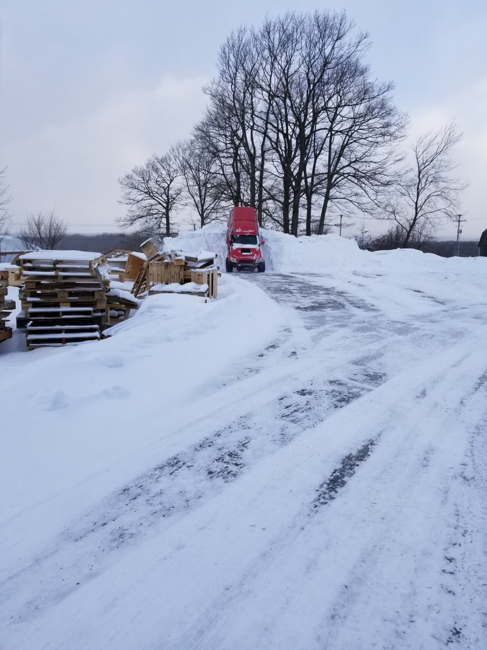 20190130_160415.jpg
