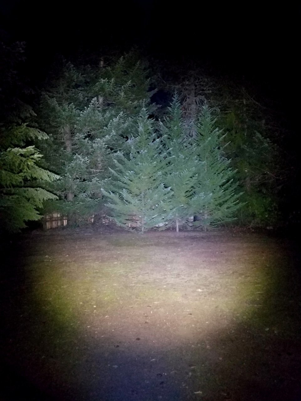 20190130_182635.jpg