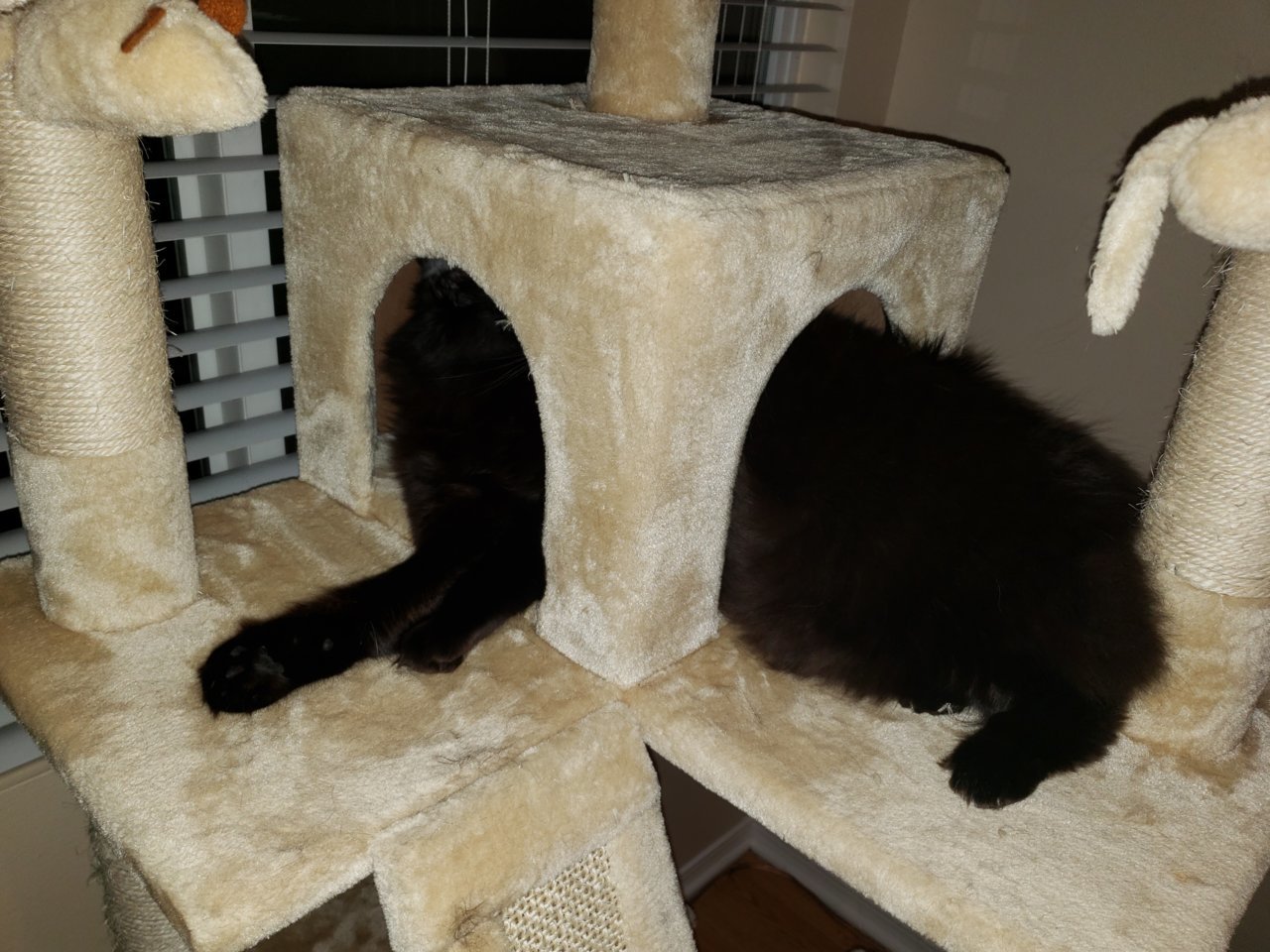 20190130_185159.jpg