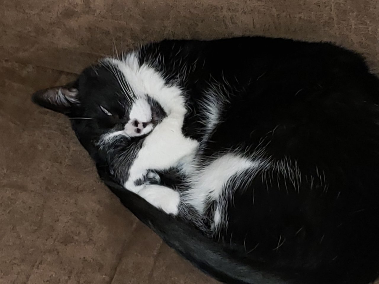 20190130_190542.jpg