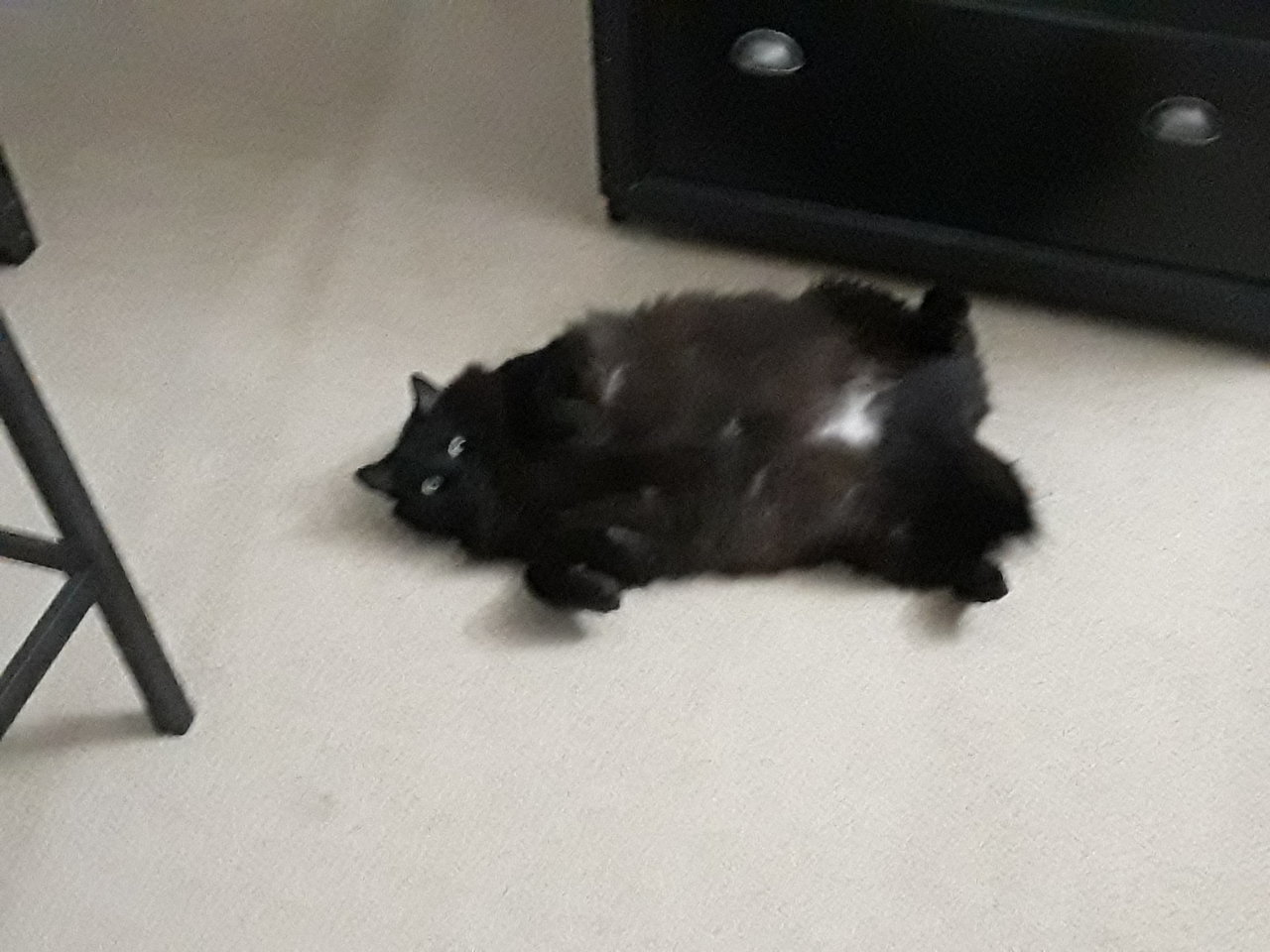 20190130_191706.jpg