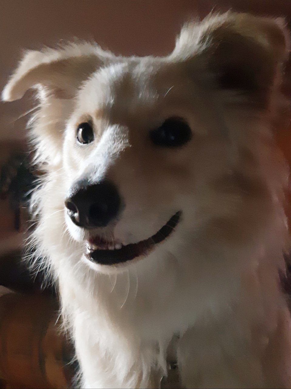 20190130_210119.jpg
