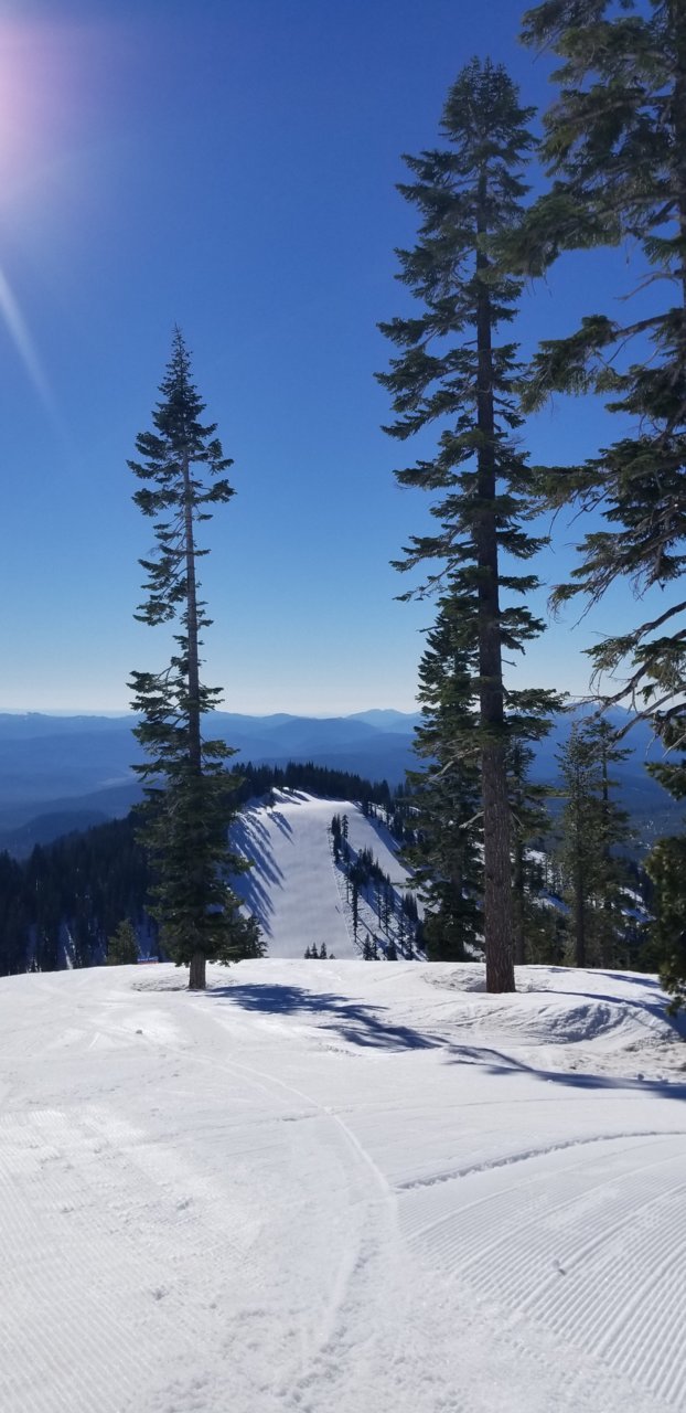 20190131_105332.jpg