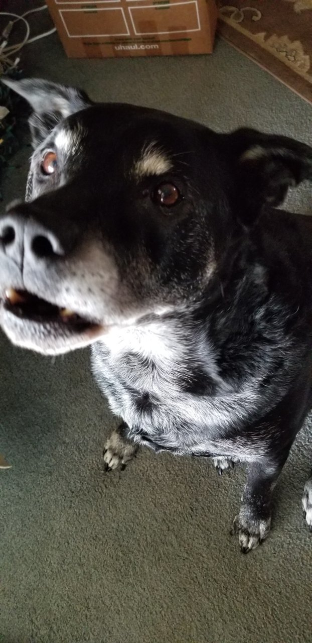 20190131_135920_1548974274910.jpg