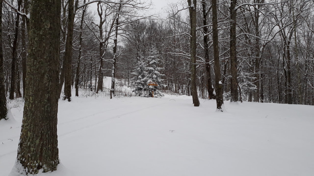 20190201_150045.jpg