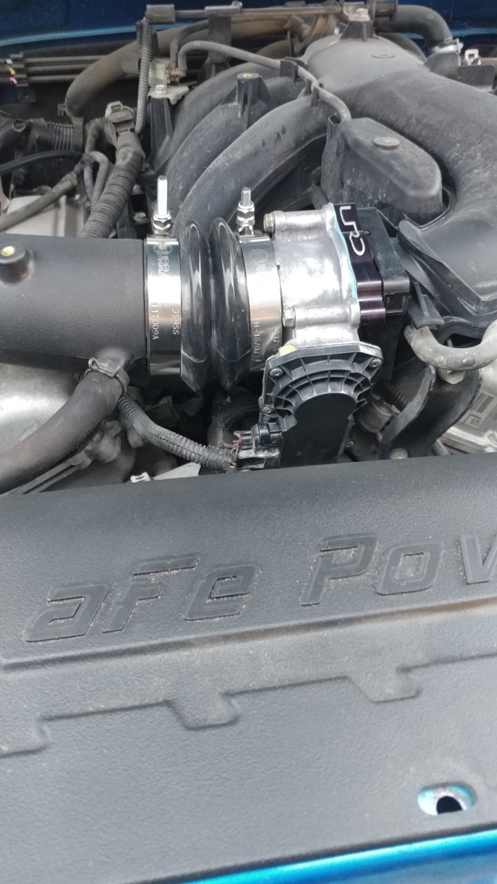 20190201_174333.jpg