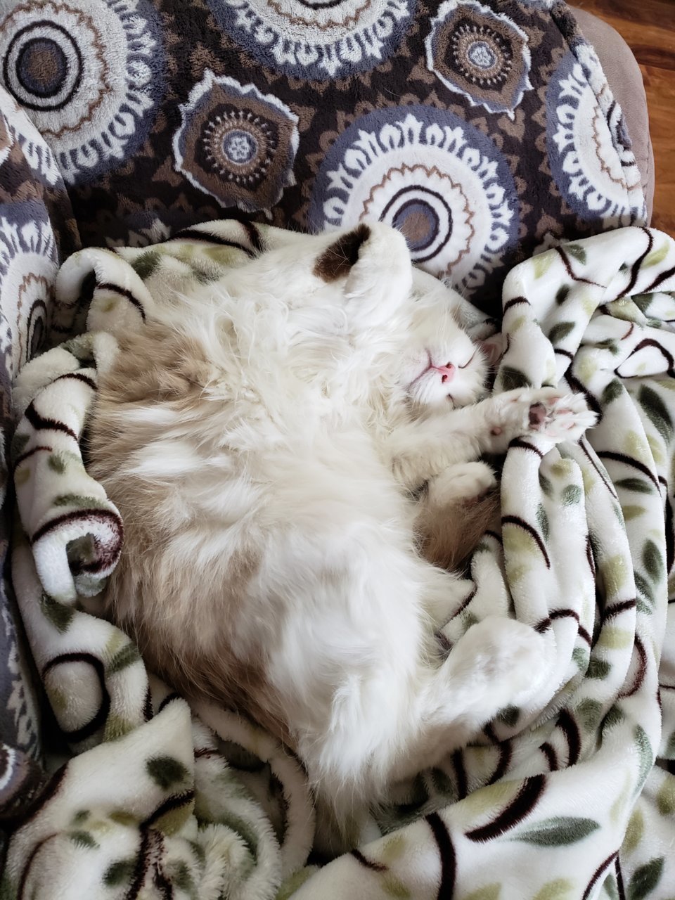 20190202_103555.jpg