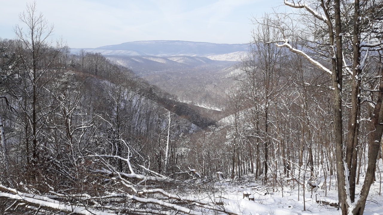 20190202_105212.jpg