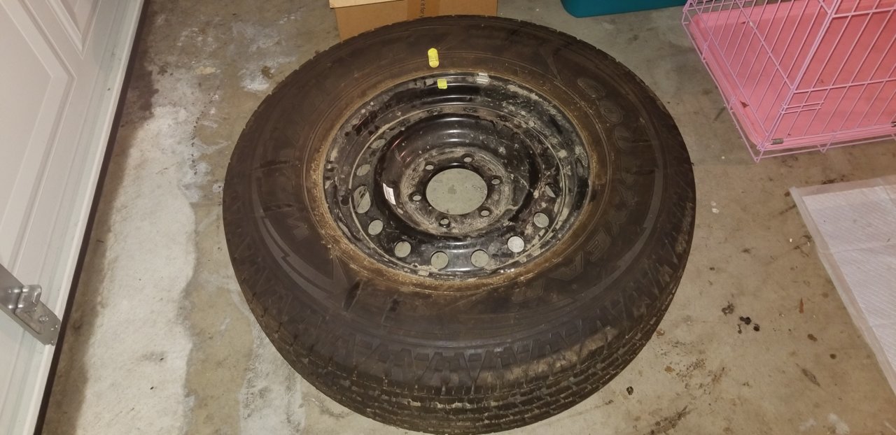20190202_105321.jpg