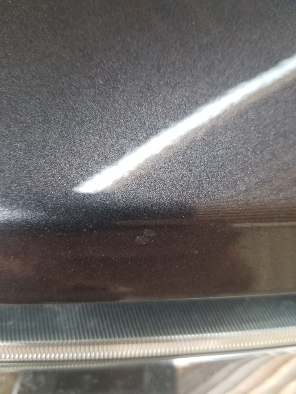20190202_130030.jpg