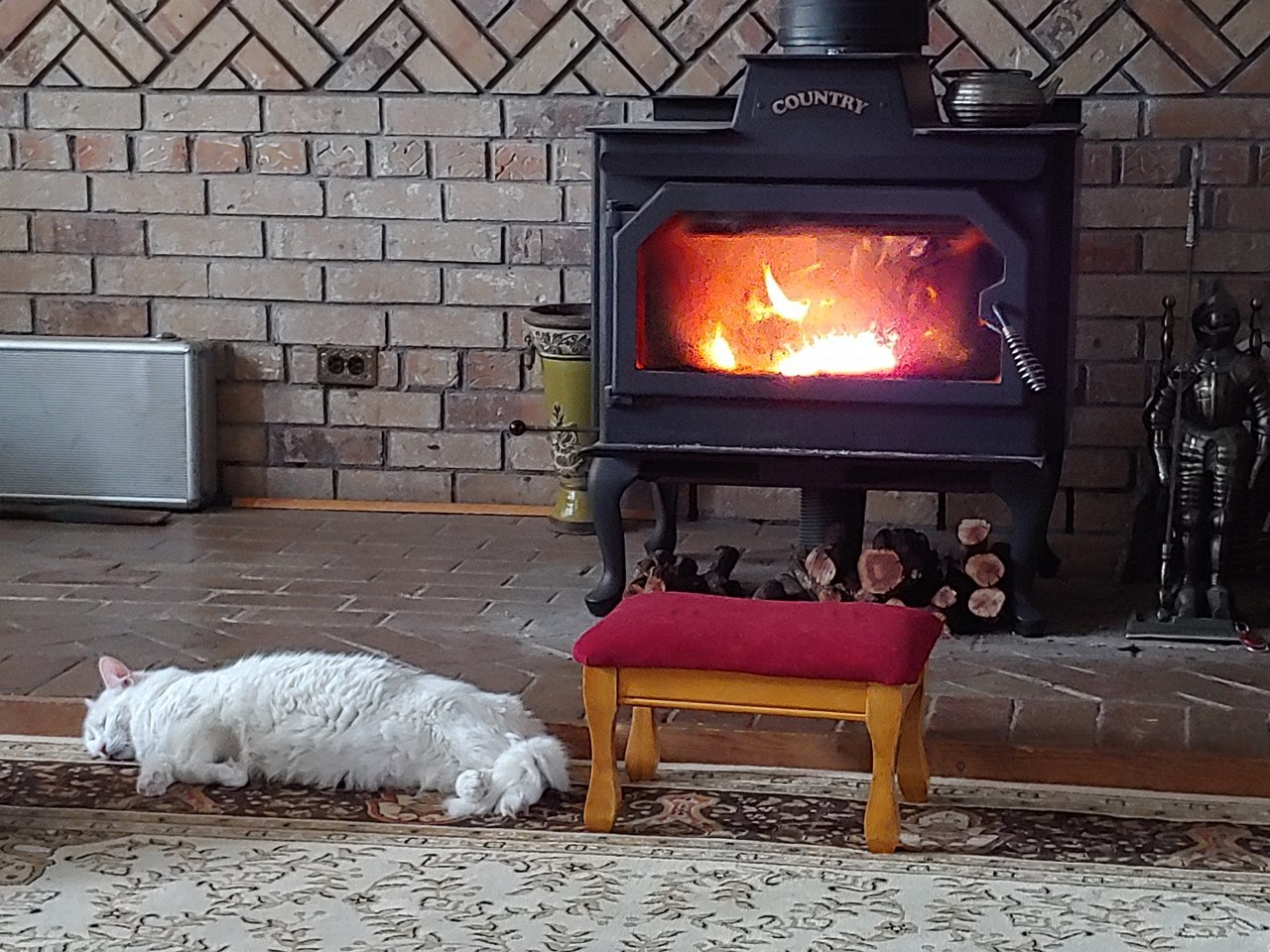 20190202_155448.jpg