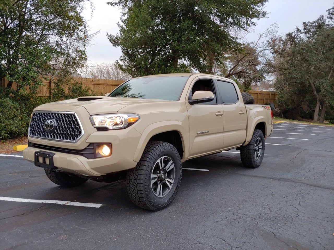 20190202_165017_HDR.jpg