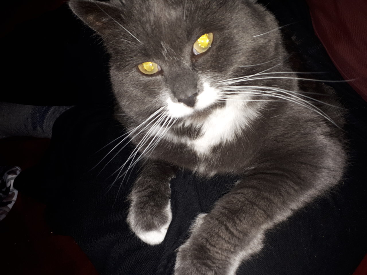 20190202_170838.jpg