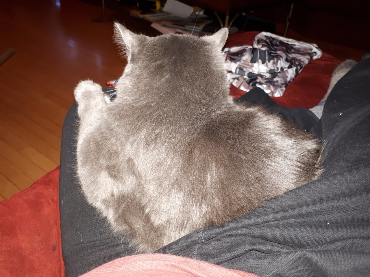 20190202_170902.jpg
