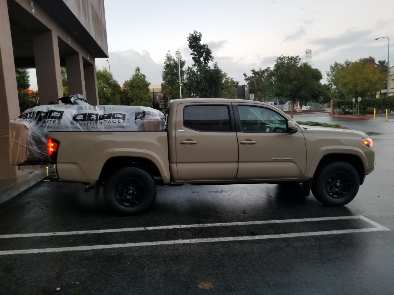 20190202_173134.jpg