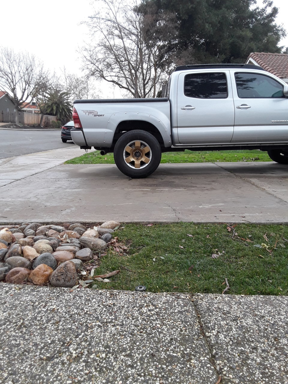 20190203_110146.jpg