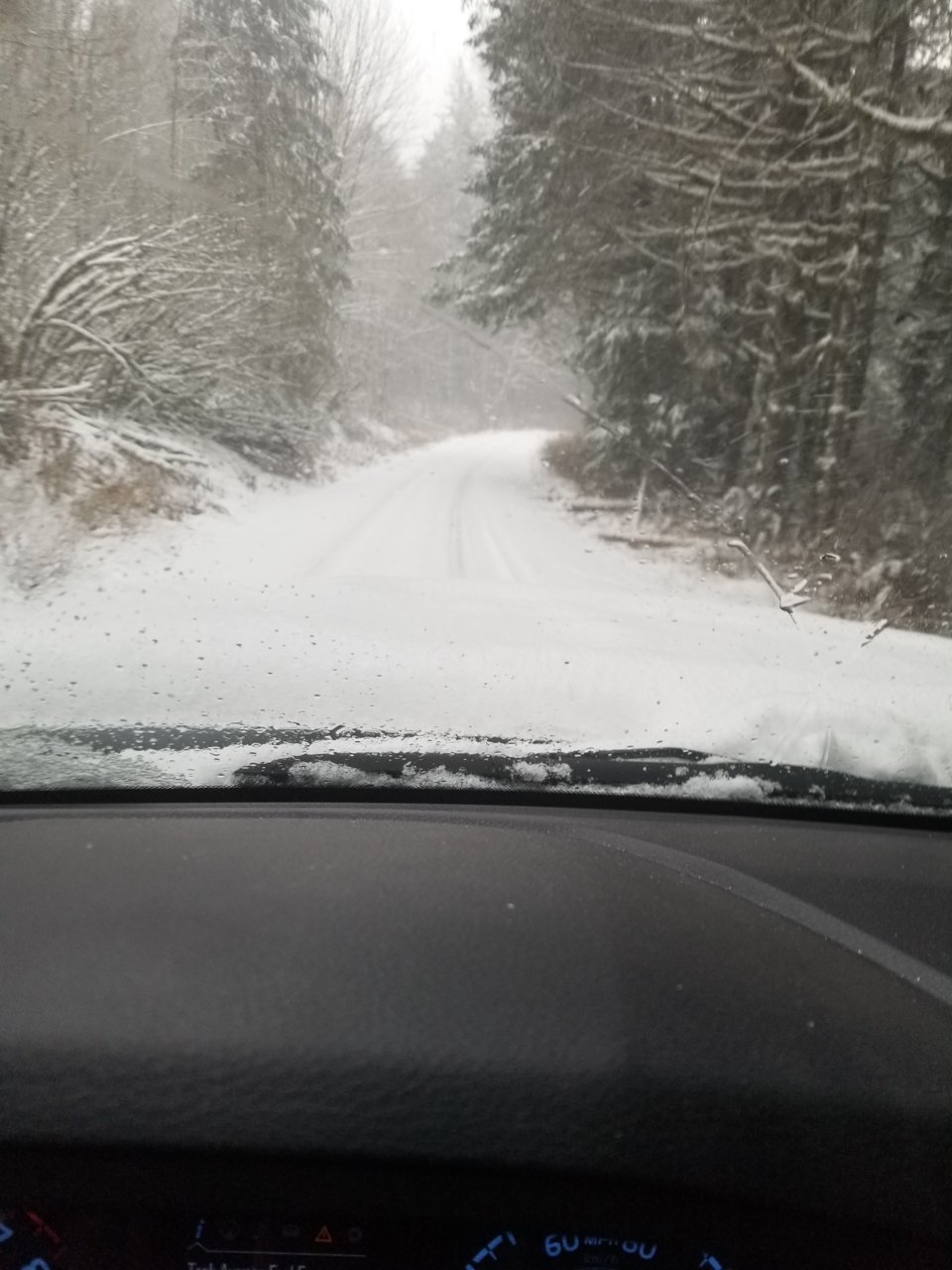 20190203_125315.jpg