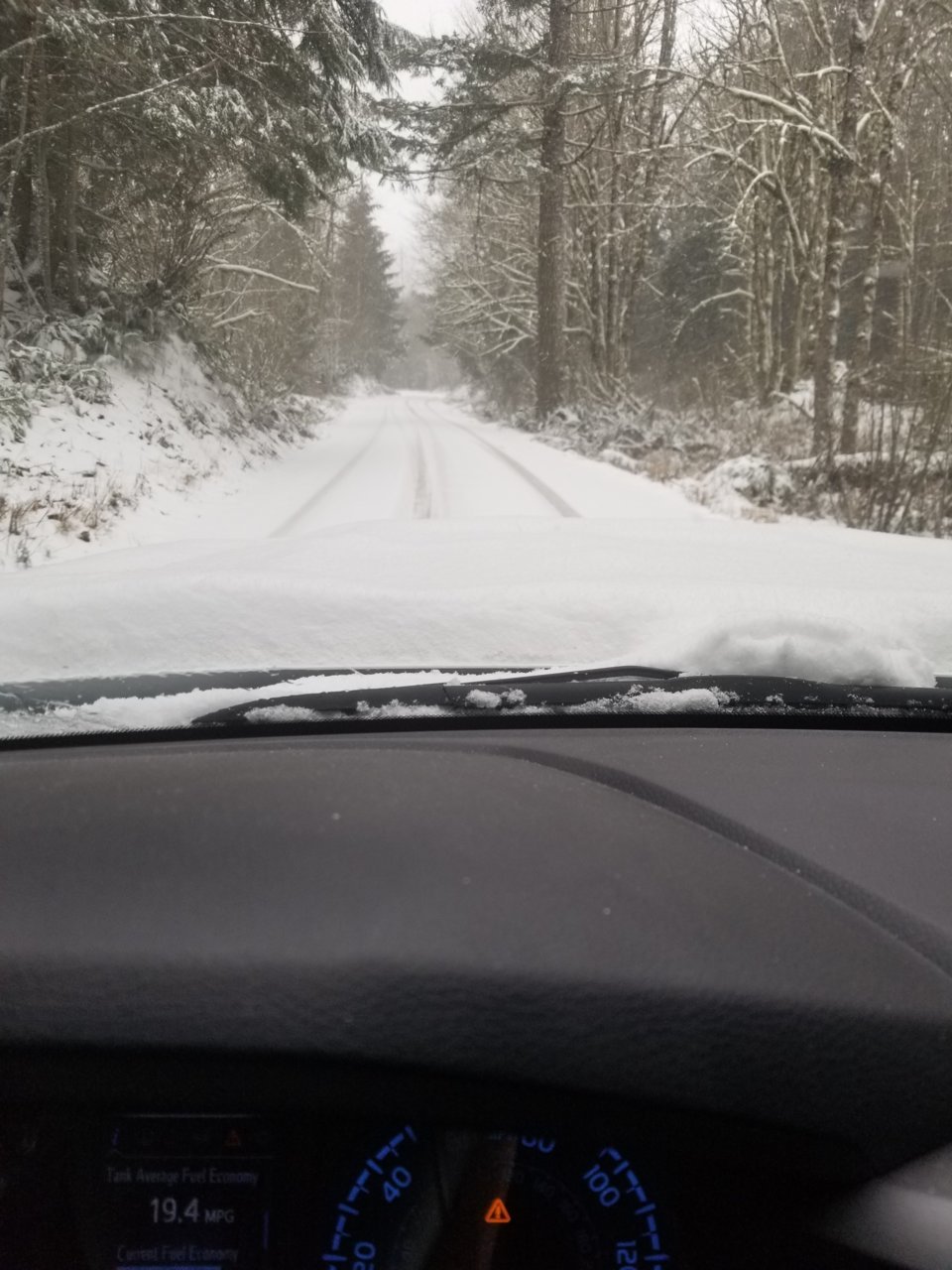 20190203_130225.jpg