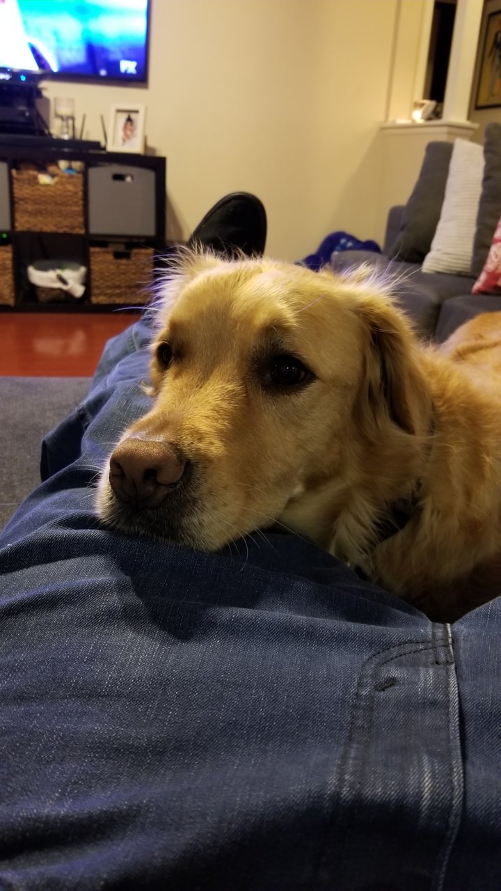 20190203_204307.jpg