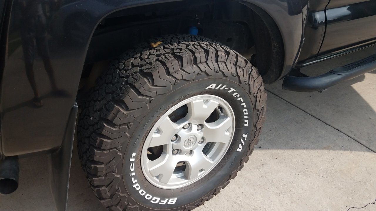 20190204_095501.jpg