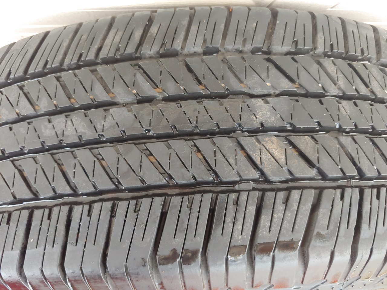 20190204_150153_HDR.jpg