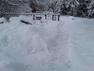 20190205_073816_opt.jpg