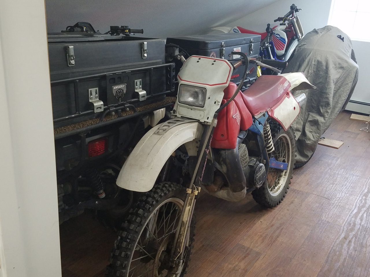 20190205_115947.jpg
