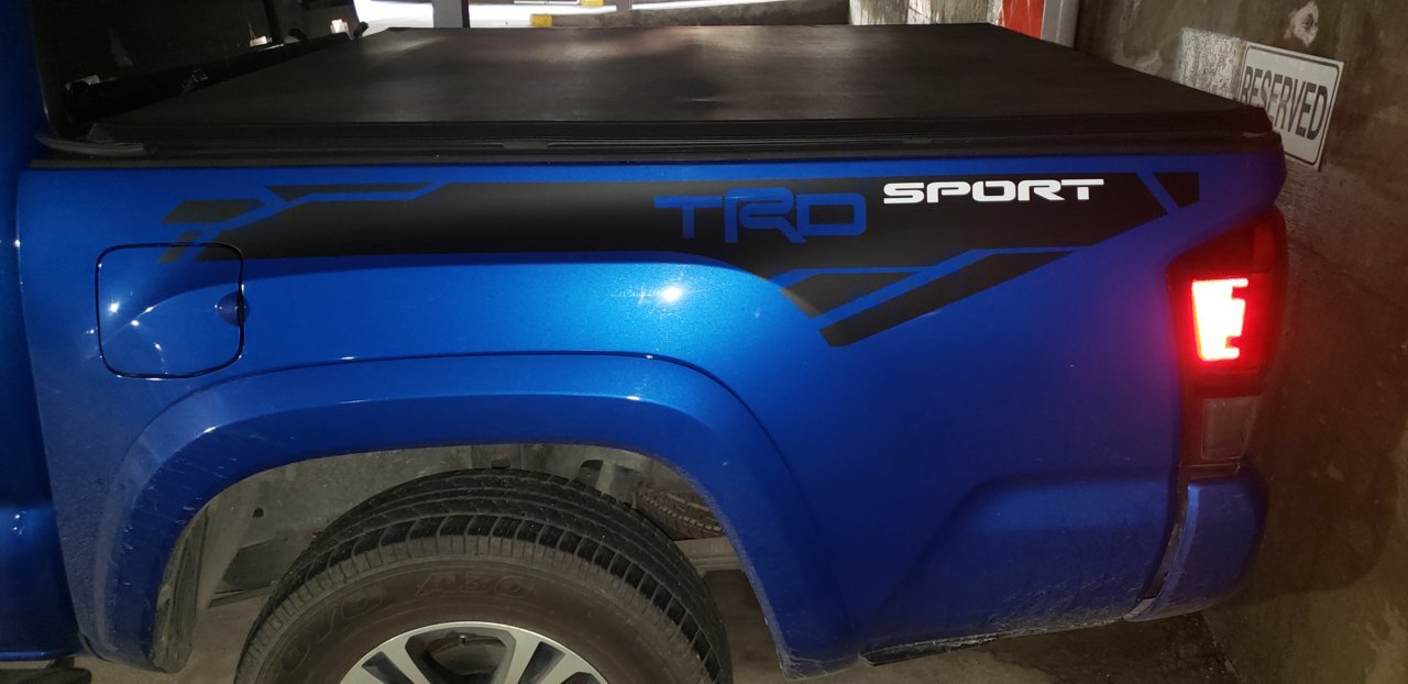 20190205_162946.jpg
