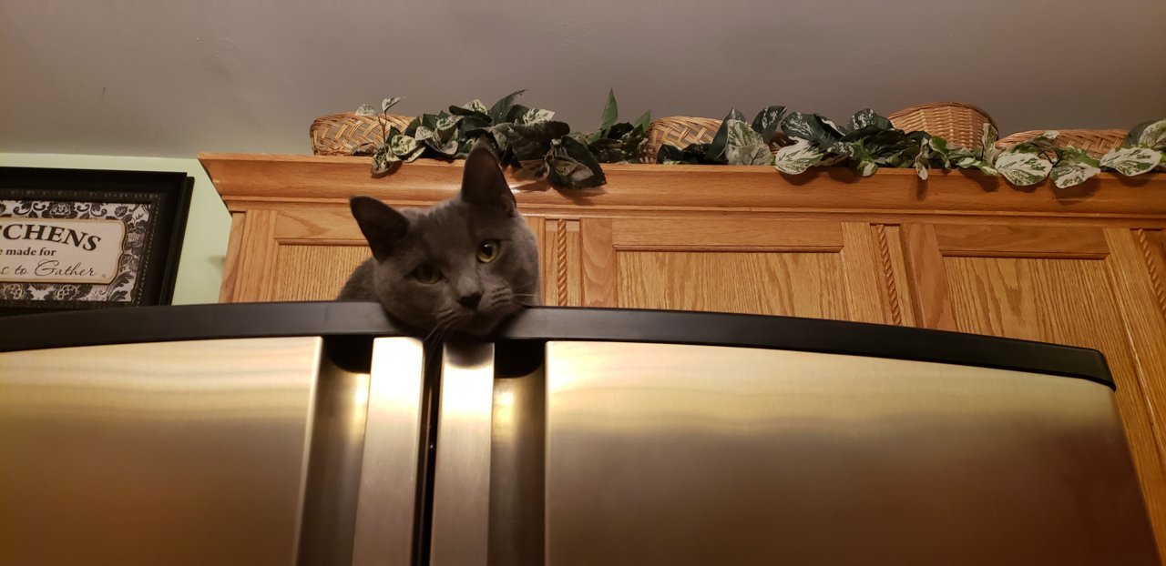 20190205_171816.jpg
