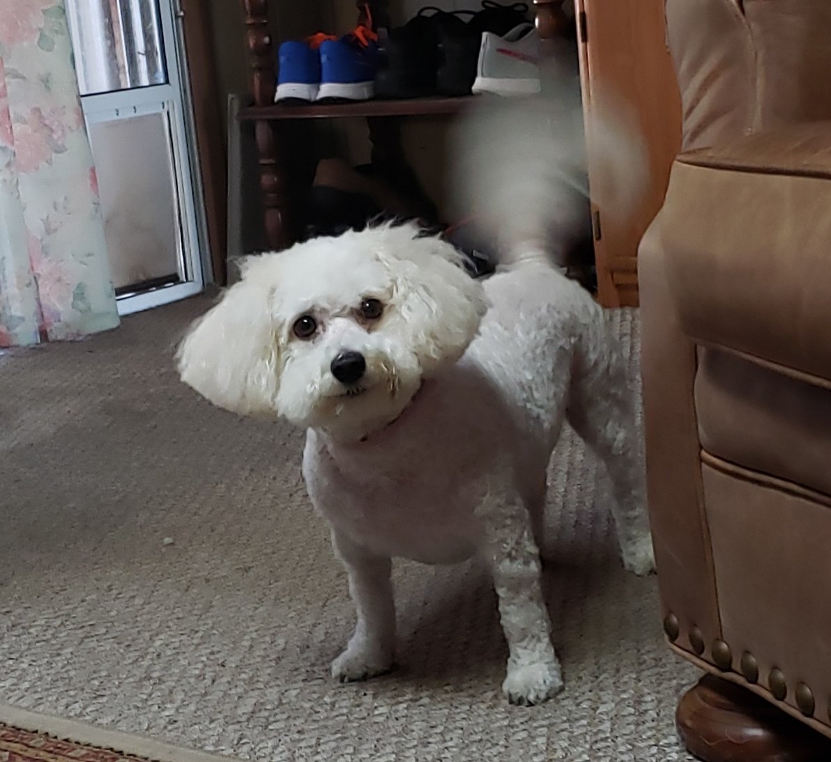 20190206_142208.jpg