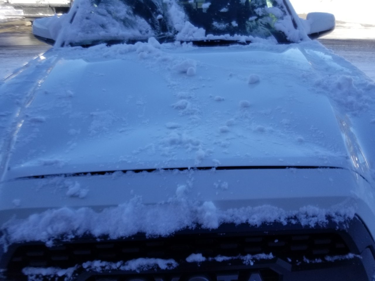 20190206_150736.jpg