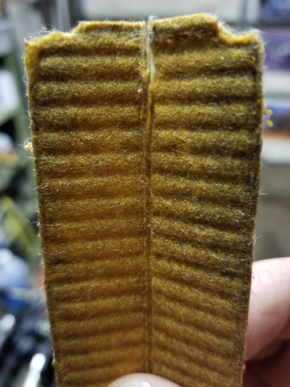 20190206_182537.jpg