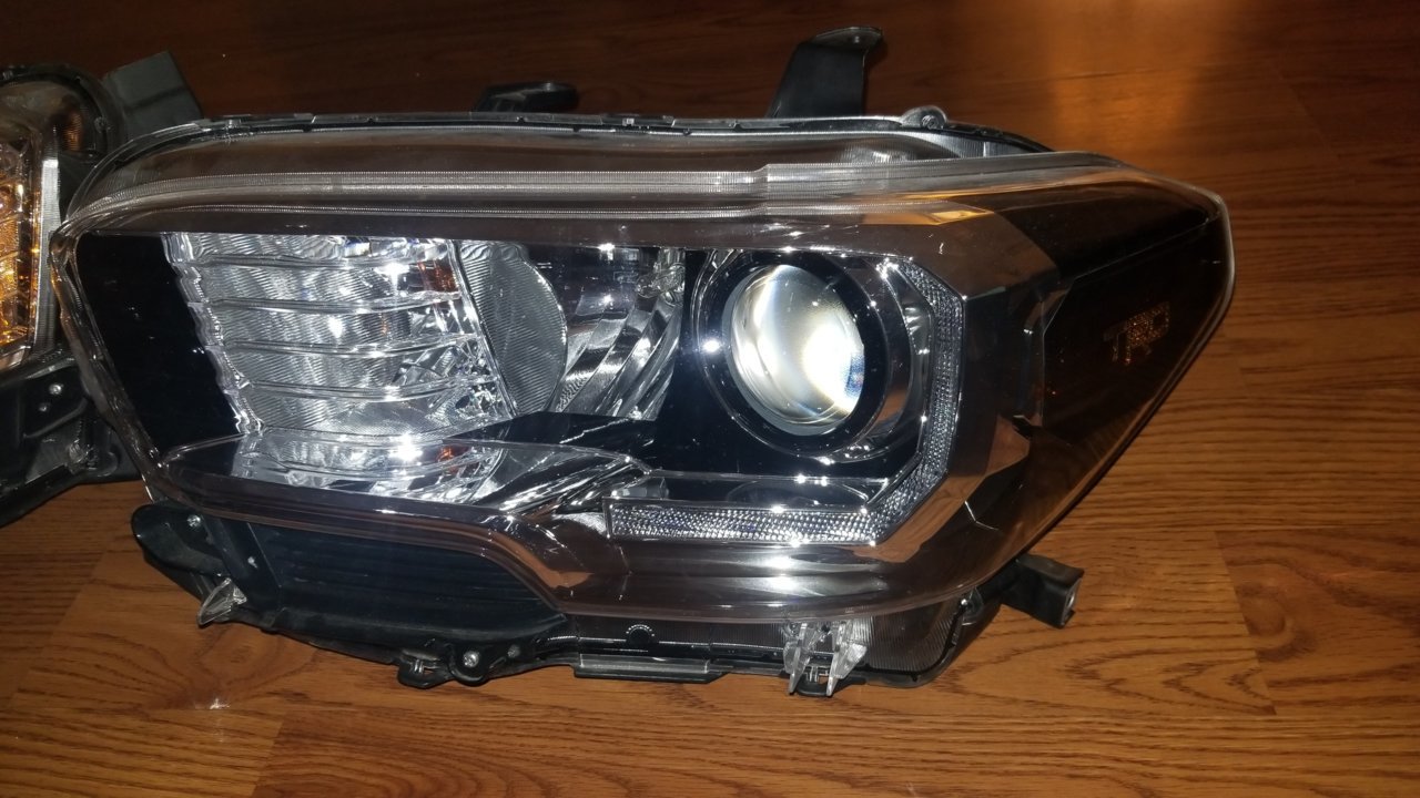 20190206_204204.jpg