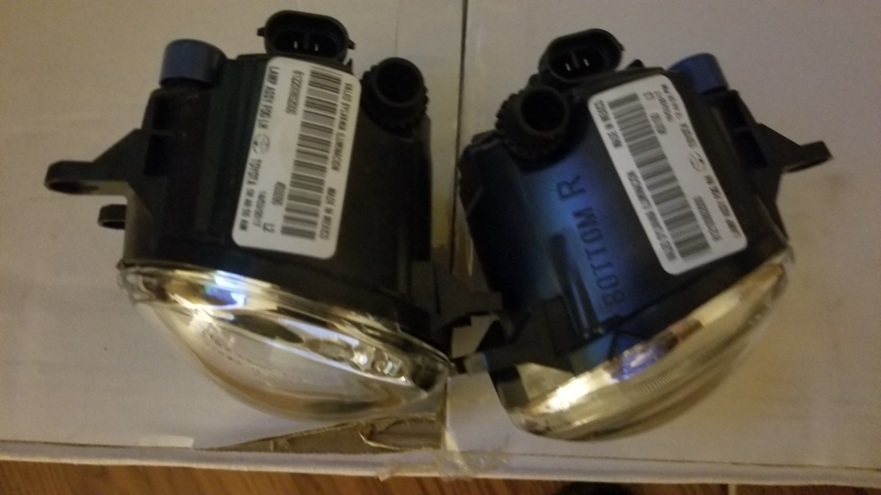 20190206_204424.jpg