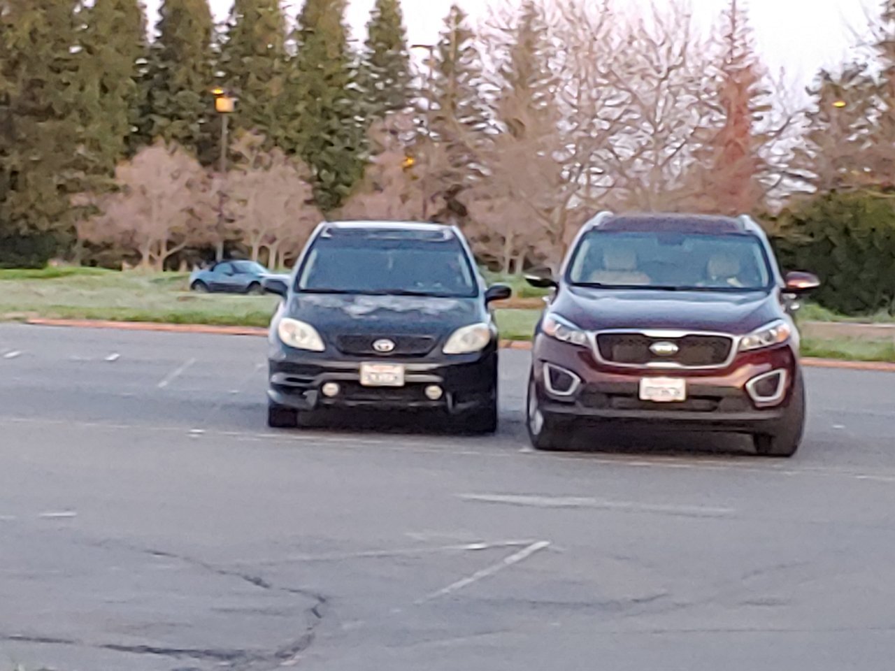 20190207_070505.jpg