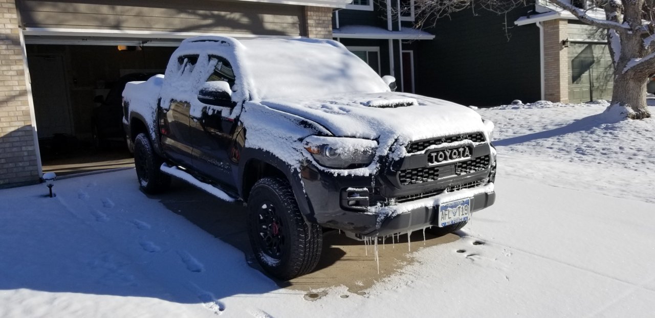 20190207_085207.jpg
