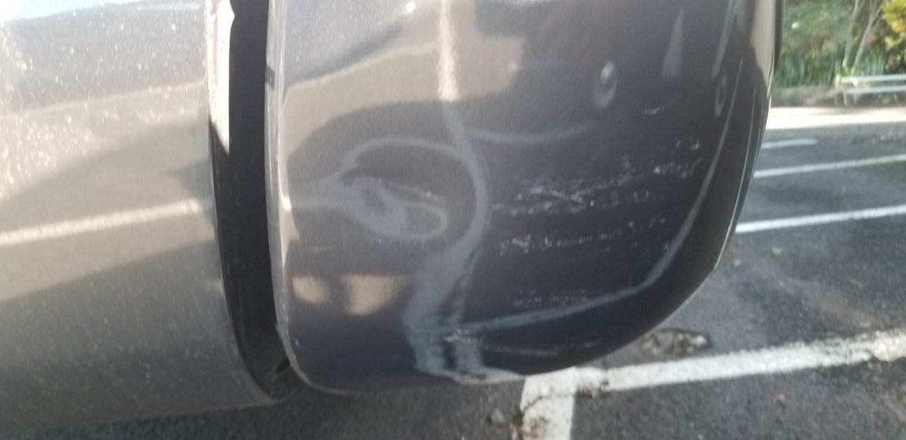 20190207_152432.jpg