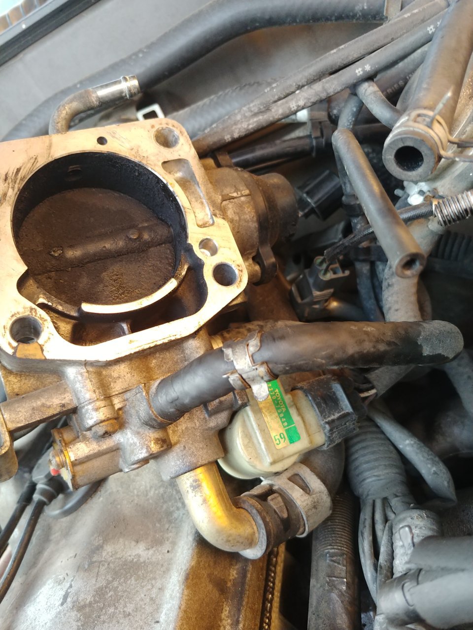 20190207_164638_HDR.jpg