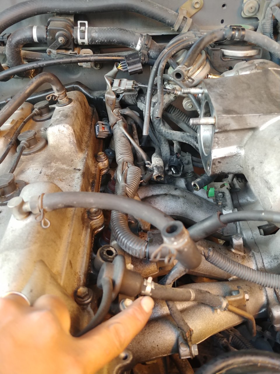 20190207_170400_HDR.jpg