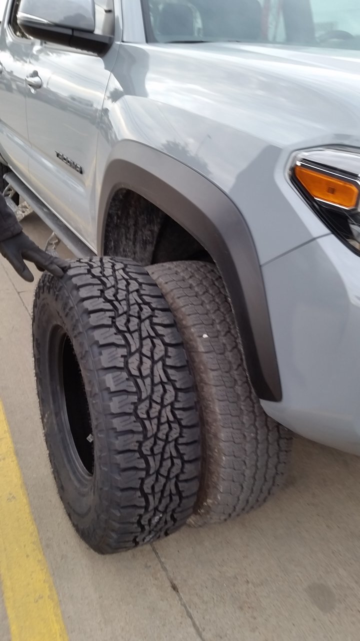 20190208_082034.jpg