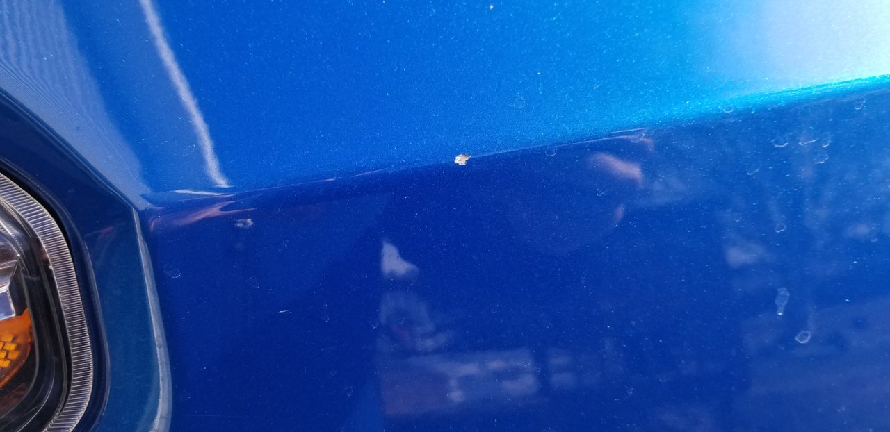20190208_132950.jpg