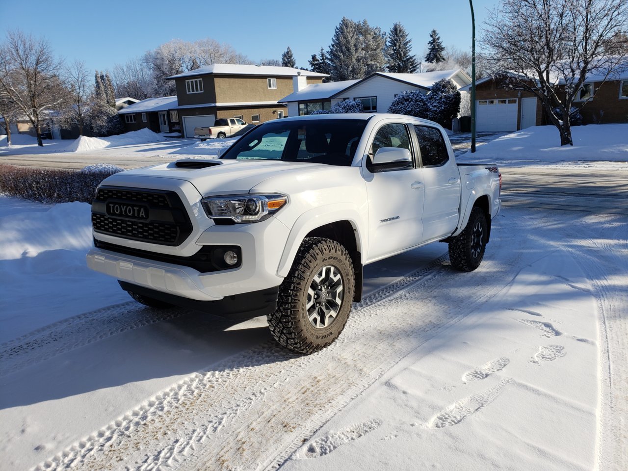 20190208_154449.jpg