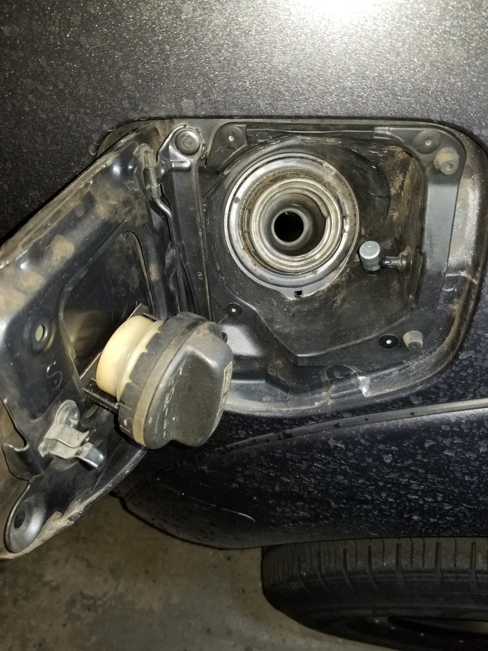 20190209_111432.jpg