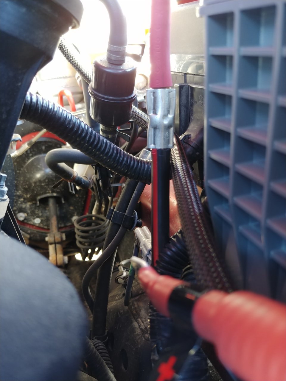 20190209_124832.jpg