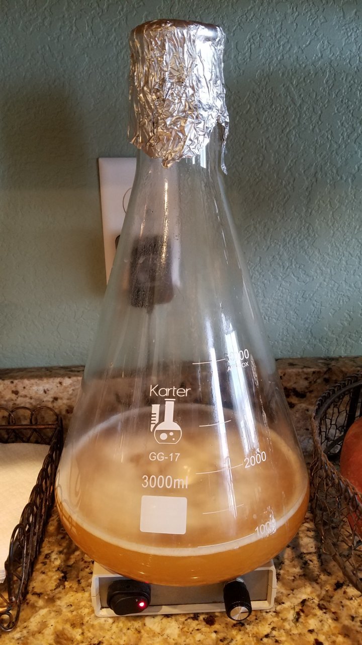 20190209_163233.jpg