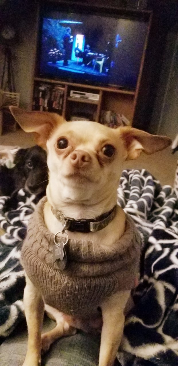 20190209_211322.jpg