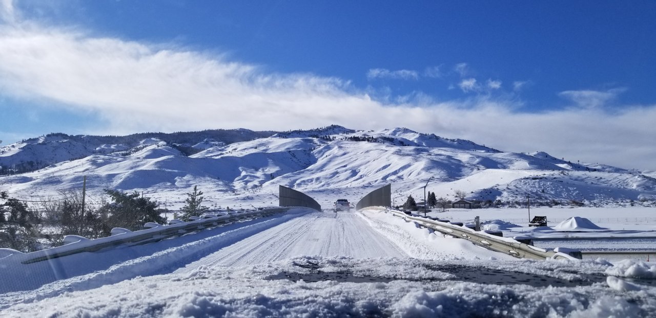 20190210_091527.jpg